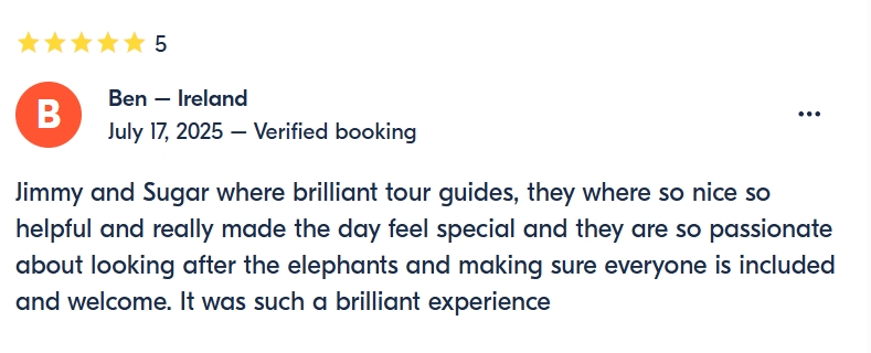 pon elephpant chiangmai thailand reviews